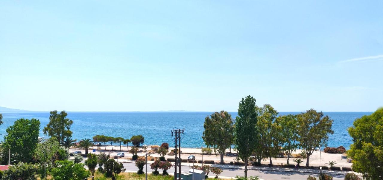 Delfini Hotel 2*