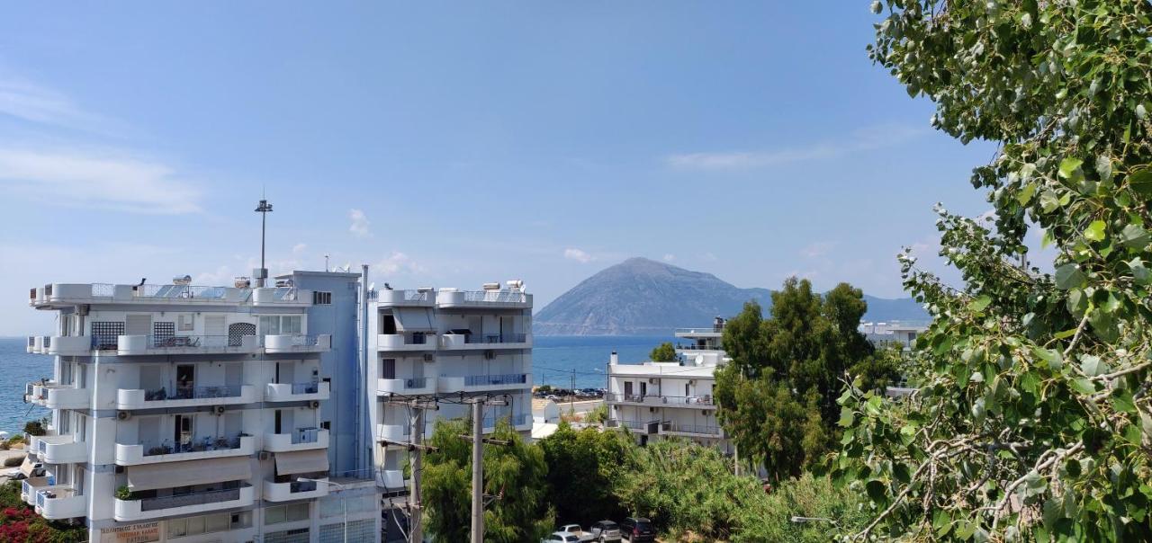 Hotel Delfini 2*